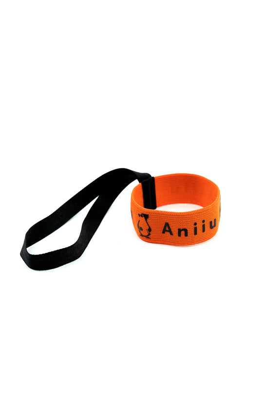 Product image - one Aniiu wrist strap, side view